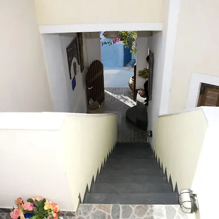 Argonaftes 피로스테파니