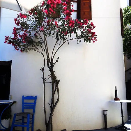 Guest house Argonaftes 3*